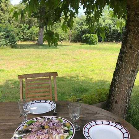 Appartement En Pleine Nature Сустон Экстерьер фото